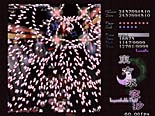 Touhou Project